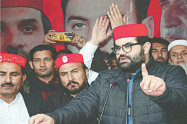 Pakistan’s ANP vows strong opposition against attempts to reverse 25th constitutional amendment