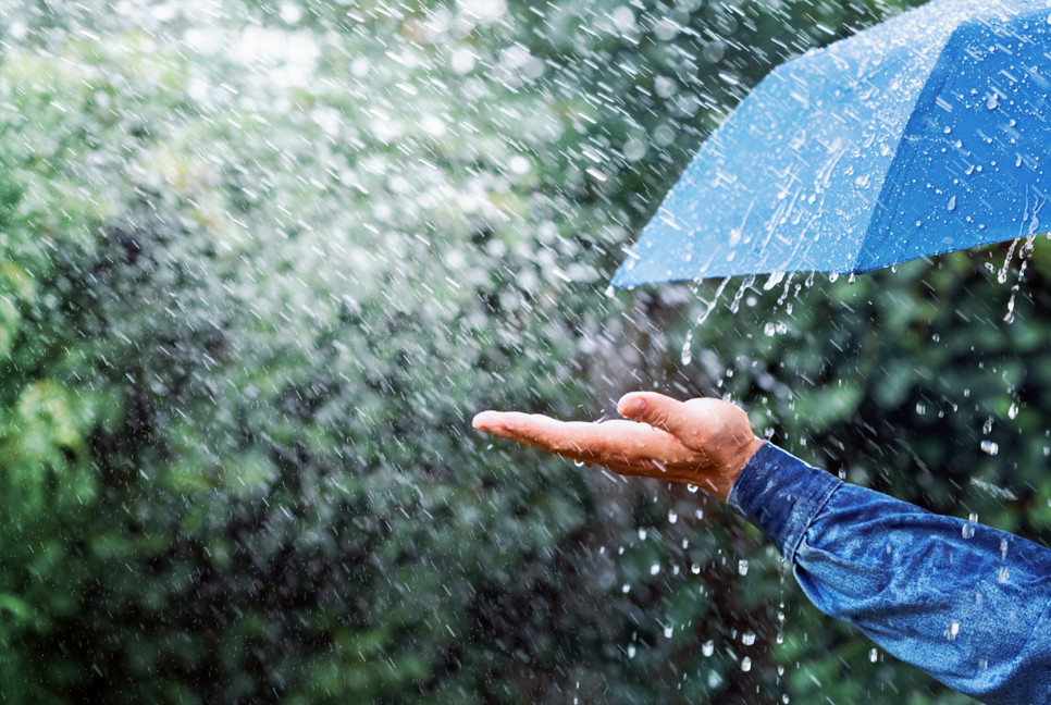 Heavy rain alert for 5 divisions including Dhaka