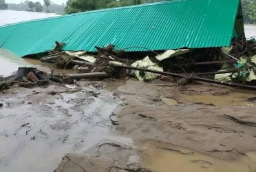 Feni flood situation getting better after pause in rainfall