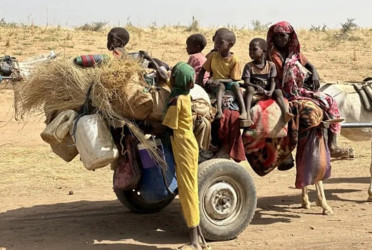 Evidence of ongoing 'crimes against humanity' in Darfur found: ICC