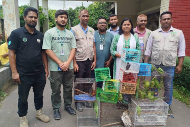 50 wild birds rescued from Mirpur