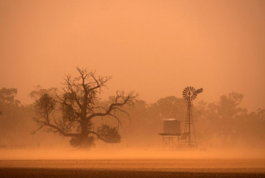Sand and dust storms impact 330mn people across 150 countries: UN
