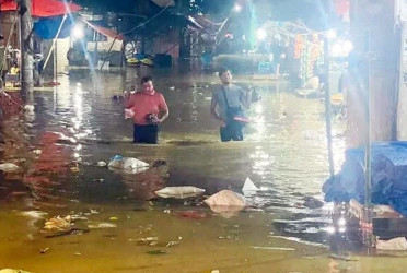 Tk 7,340 cr flood control embankment to be built in Feni: Adviser