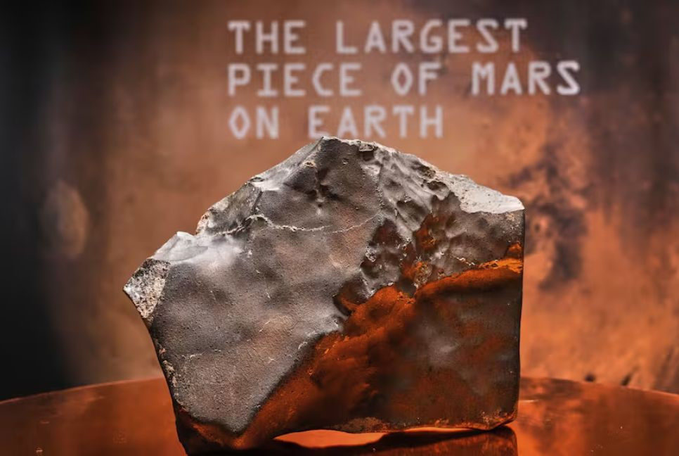 Biggest Mars rock found on Earth to be auctioned in New York