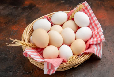 Eating eggs may improve heart health, longevity: study