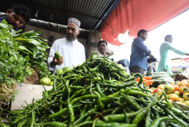 Green chilli price soars to Tk400/kg amid relentless rainfall