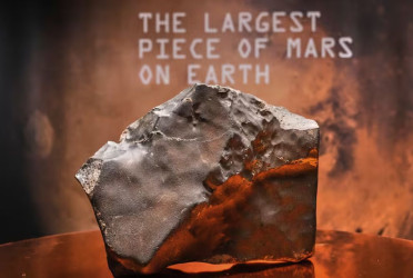 Biggest Mars rock found on Earth to be auctioned in New York