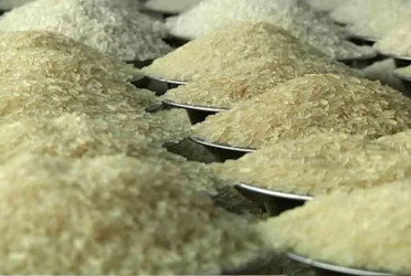 Consumer Affairs Department orders to stop marketing Miniket rice