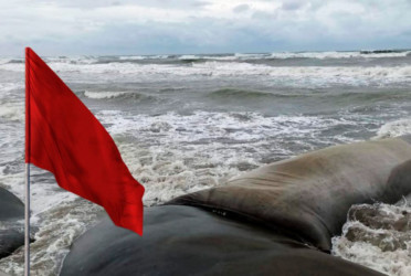 Cautionary signal no. 3 hoisted at seaports
