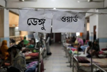Dengue: 2 more die, 330 hospitalised in 24hrs