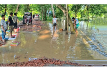 Floodwater recedes, Tk43 lakh crop loss reported across 20 districts