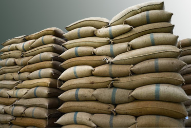 Govt to import 4 lakh tonnes of rice to avert food risk in flood season