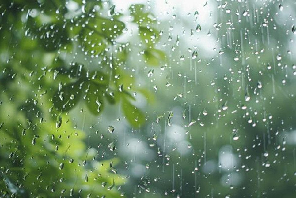 Met office forecasts rain over the country