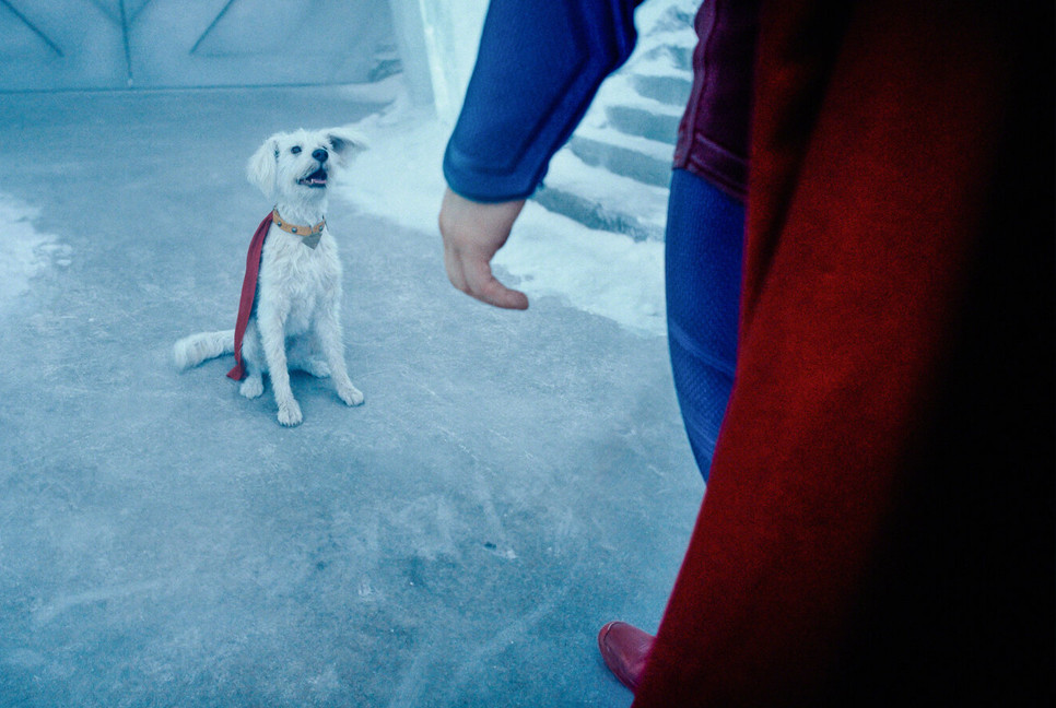 James Gunn’s Superman triggers 500% surge in U.S. dog adoptions