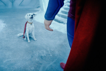 James Gunn’s Superman triggers 500% surge in U.S. dog adoptions