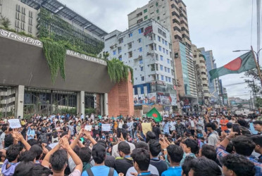 Contributions are many, questions arise over the recognition