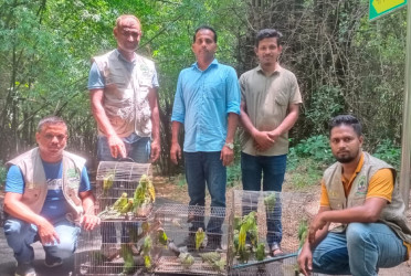 61 Birds, 2 Turtles rescued in forest department raid at Dhaka bird market