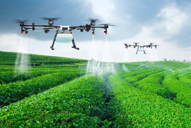 Govt to use drones to boost crop yields
