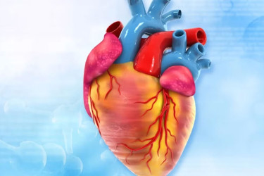 Cardiologist reveals 6 morning habits for a stronger heart