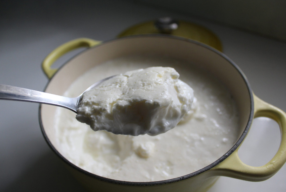 Yogurt supports digestive health, boosts immunity