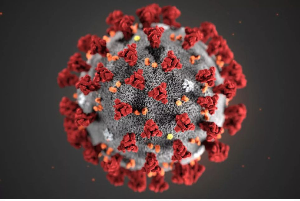 COVID-19: Two new cases reported in 24 hours