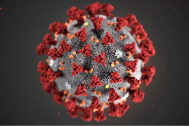 COVID-19: Two new cases reported in 24 hours