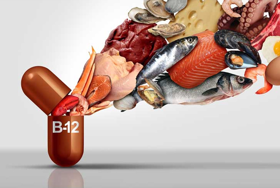 Vitamin B12 contributes to maintain energy levels, reduce fatigue