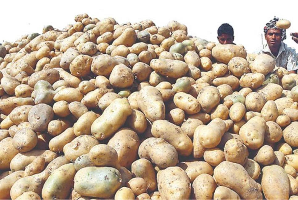 Govt considers selling of potato through OMS