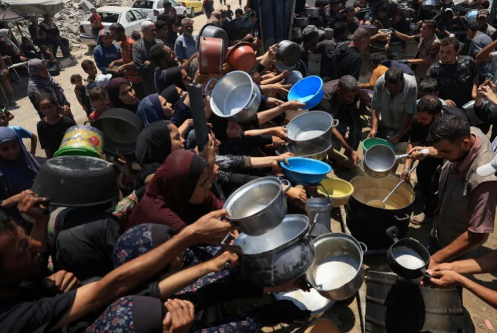 More than 100 NGOs sound alarm over mass starvation in Gaza
