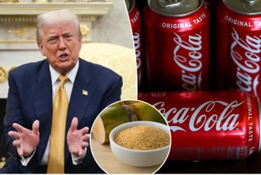Coca-Cola to use cane sugar in US Coke after Trump push