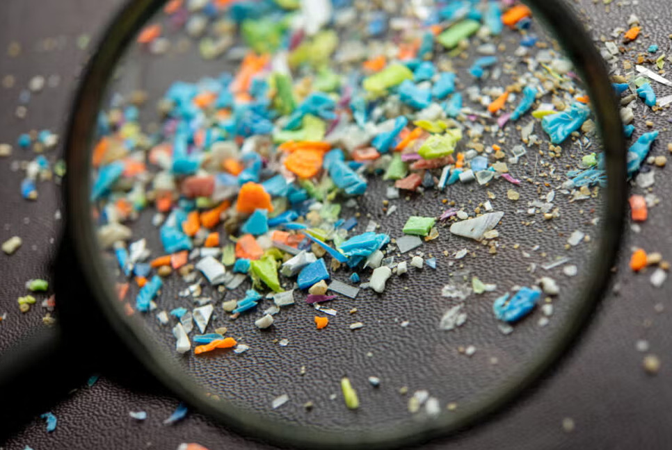How microplastics affect our bodies?