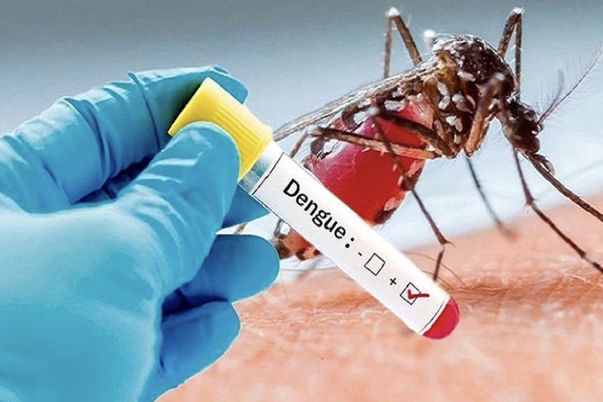 Dengue: 3 more die, 409 hospitalised in 24hrs