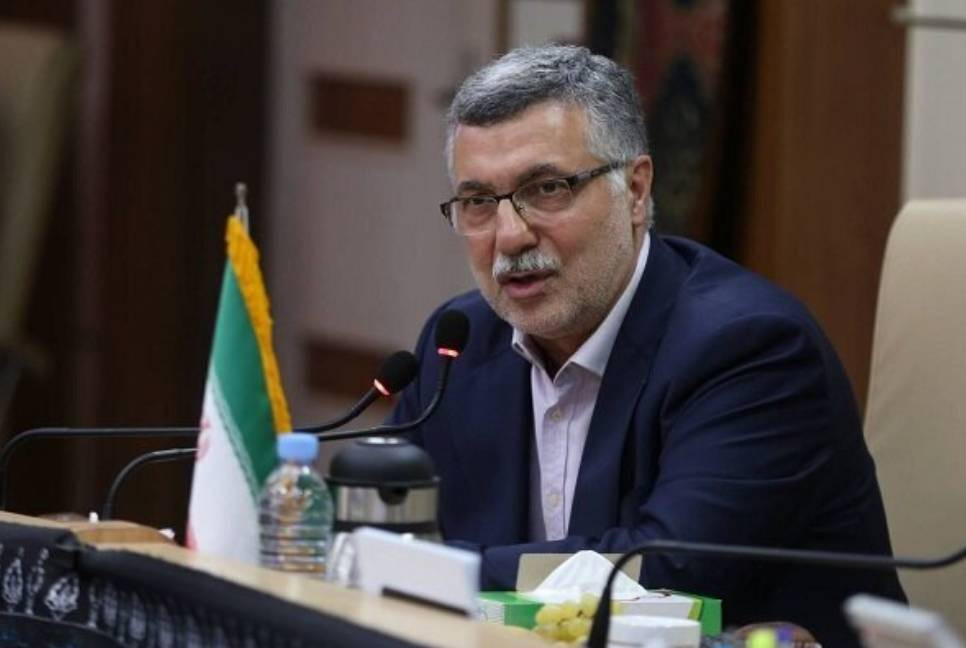 Iran health minister urges int’l action to save civilians in Gaza