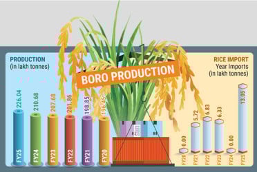 Record harvest, big imports – yet rice prices jump 11%-16% YoY