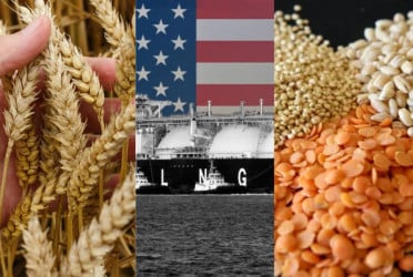Govt to import $1.5b wheat, pulses, LNG from US to secure tariff relief