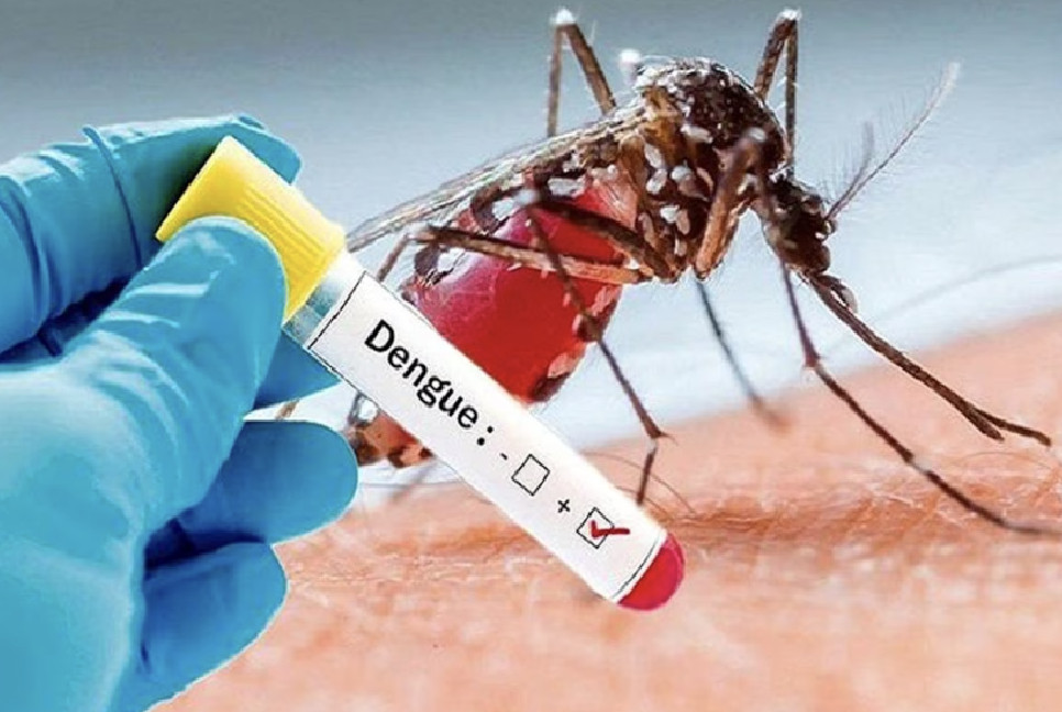 Dengue: 2 more deaths, 386 hospitalized in 24 hrs