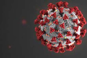 One dies of Covid-19, one new case in 24 hrs