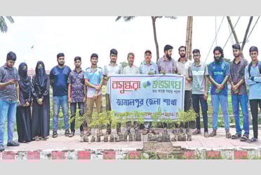 Tree plantation drive launched in Jamalpur