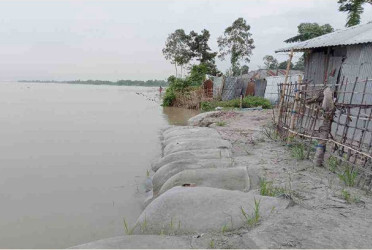 Fear grips Nilphamari residents as erosion by Teesta, Dharla turns grim
