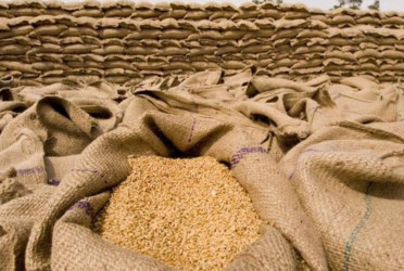 Bangladesh ranked fourth globally for severe food insecurity: UN report
