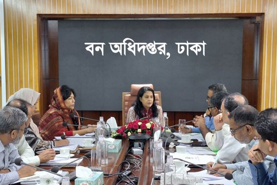 Govt to comprehensive plan to increase forest coverage to 20pc: Rizwana