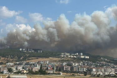 Wildfire forces temporary closure of Turkiye’s key strait, airport