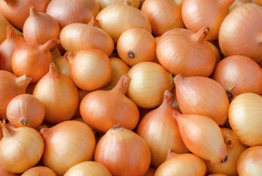 Onion prices surge in Bangladesh amid import halt, supply shortages
