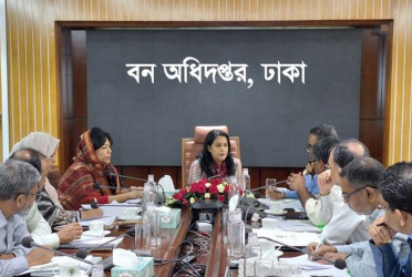 Govt to comprehensive plan to increase forest coverage to 20pc: Rizwana