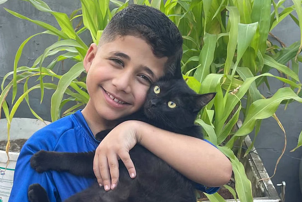 At least cats died feeling loved: 8-year-old Gaza boy comforts cats amid war
