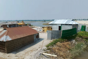 Cluster homes gaining popularity in Kurigram as flood protection solutions