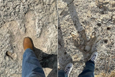 Texas flood turns creek into real-life Jurassic Park, with 15 dinosaur footprints discovered