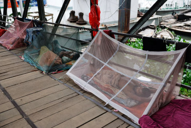 Bangladesh dengue deaths top 100, August could be worse