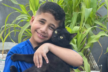 At least cats died feeling loved: 8-year-old Gaza boy comforts cats amid war