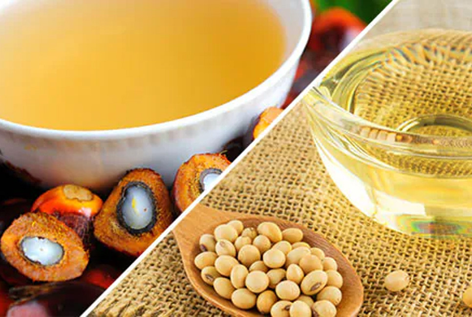 Govt cuts palm oil price, soybean oil price unchanged